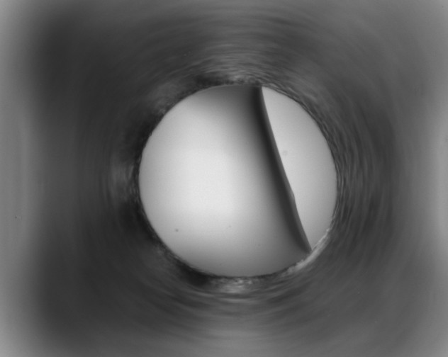 X0000089370182200706150850