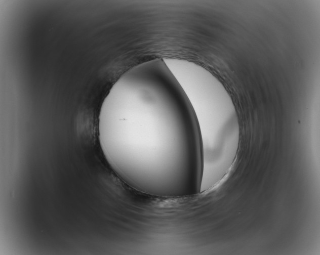 X0000089370186200706150850