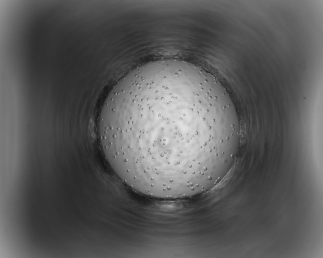 X0000089370187200706150850