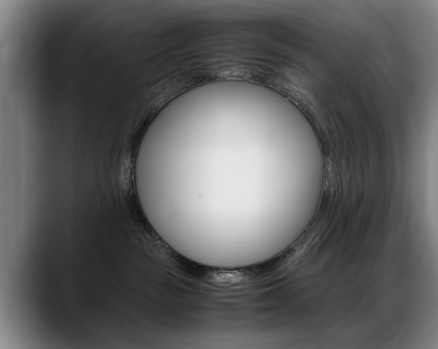 X0000089370189200706150850