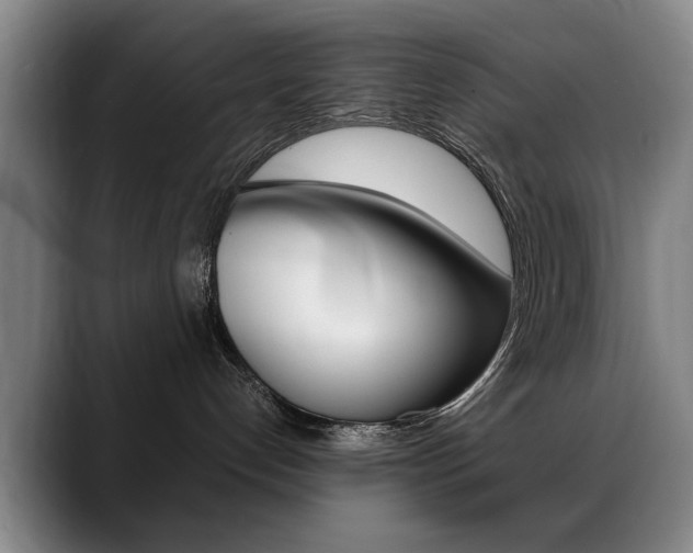 X0000089370192200706150850