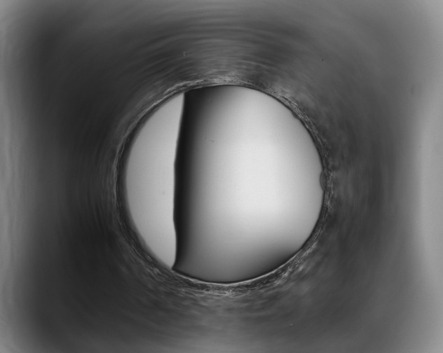 X0000089370194200706150850