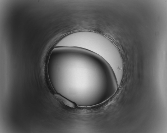 X0000089370197200706150850
