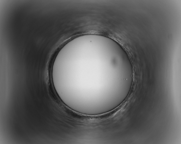 X0000089370198200706150850