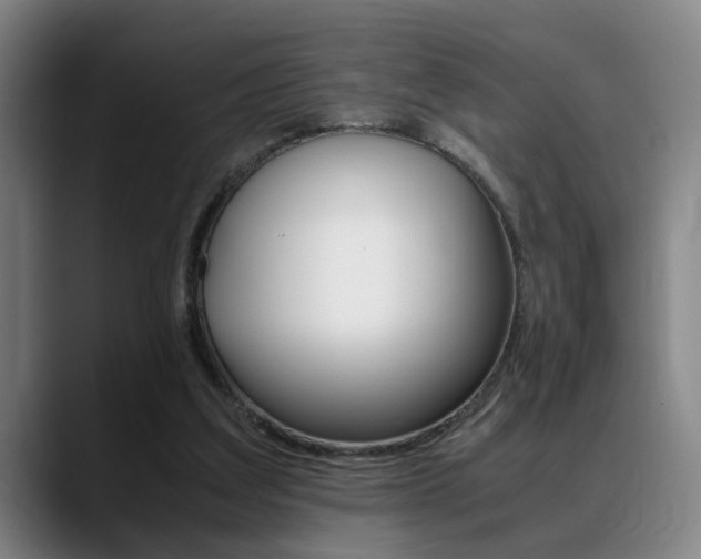 X0000089370203200706150850