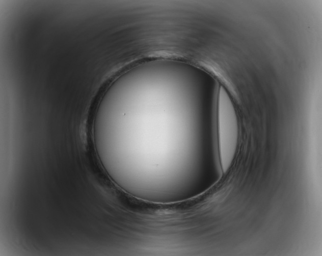 X0000089370204200706150850