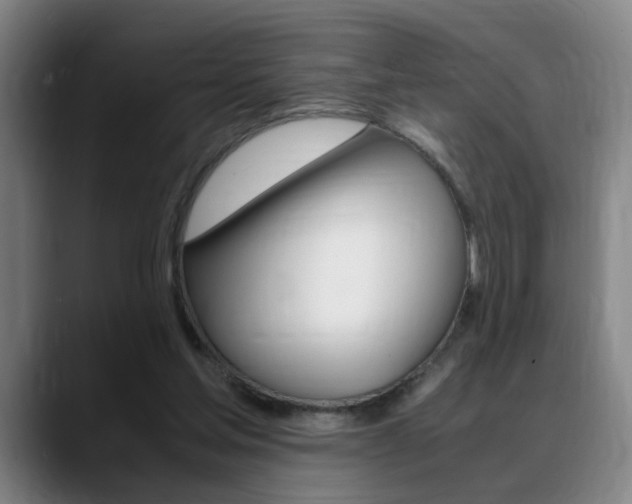 X0000089370205200706150850