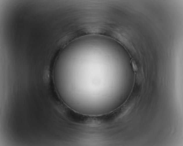 X0000089370207200706150850