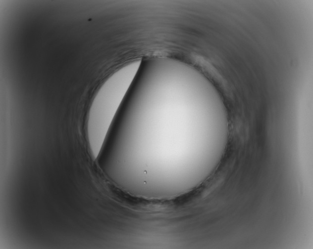 X0000089370209200706150850