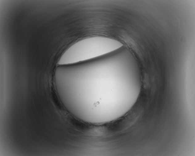 X0000089370210200706150850