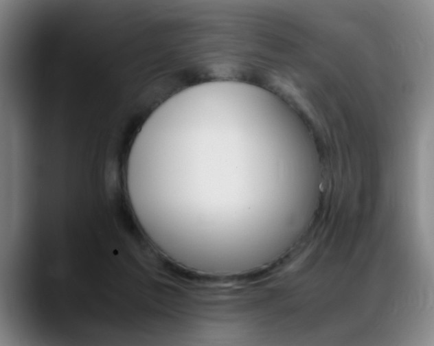 X0000089370213200706150850