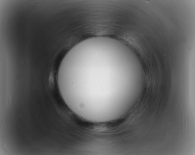 X0000089370214200706150850
