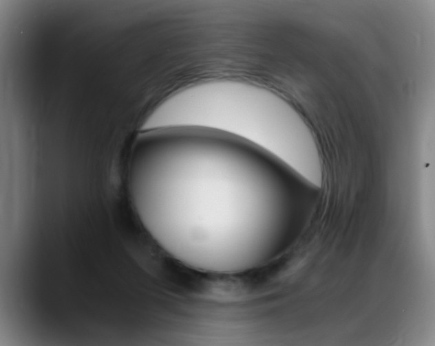 X0000089370215200706150850