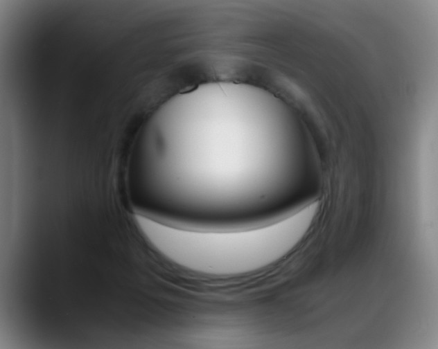 X0000089370217200706150850