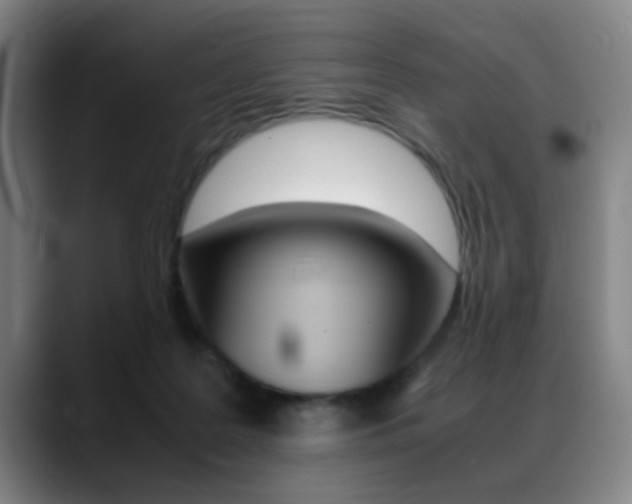 X0000089370219200706150850