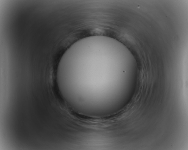 X0000089370223200706150849