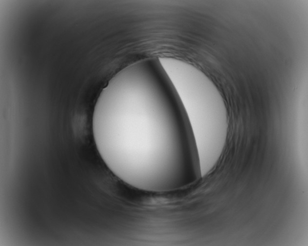 X0000089370224200706150849