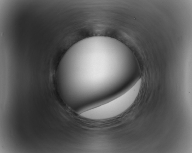 X0000089370225200706150849