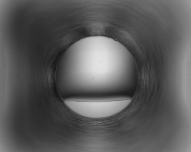 X0000089370228200706150849