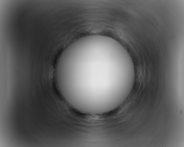 X0000089370230200706150849