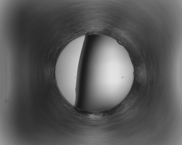 X0000089370232200706150849