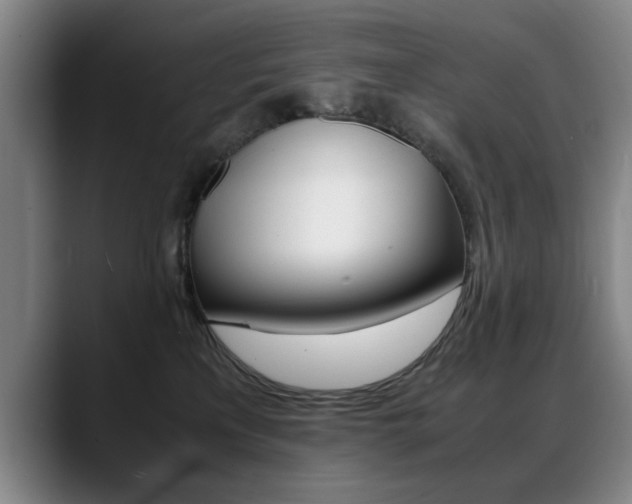 X0000089370233200706150849