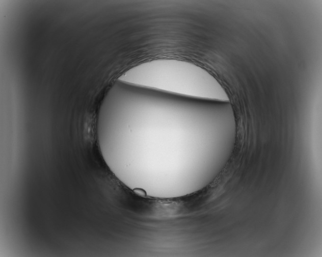 X0000089370234200706150849
