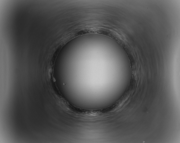 X0000089370235200706150849