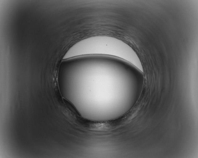 X0000089370237200706150849