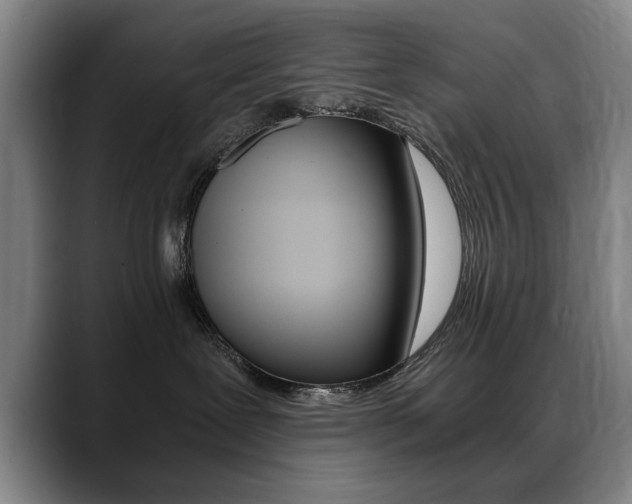 X0000089370239200706150849
