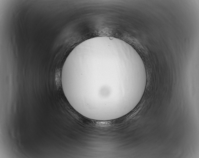 X0000089370240200706150849