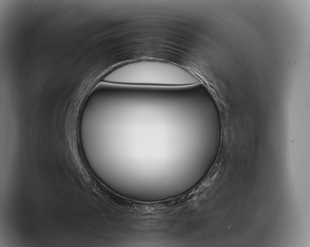 X0000089370241200706150849