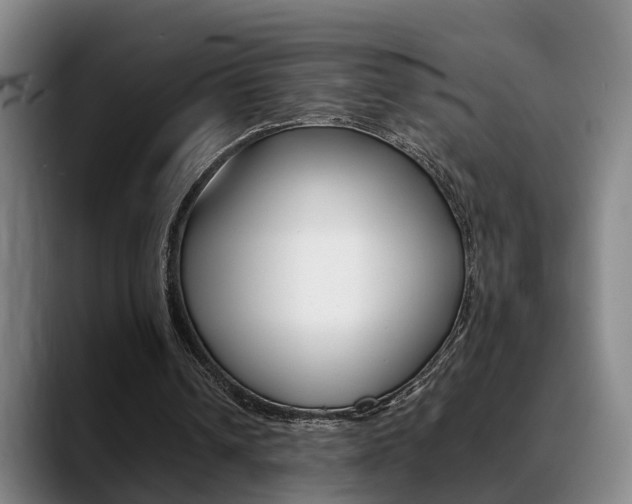 X0000089370242200706150849
