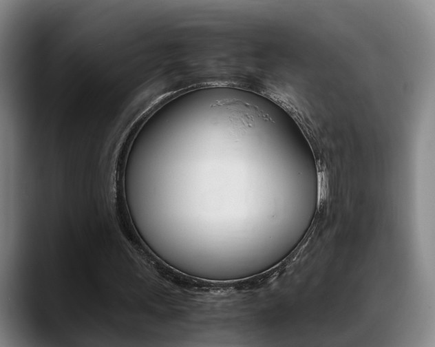 X0000089370243200706150849
