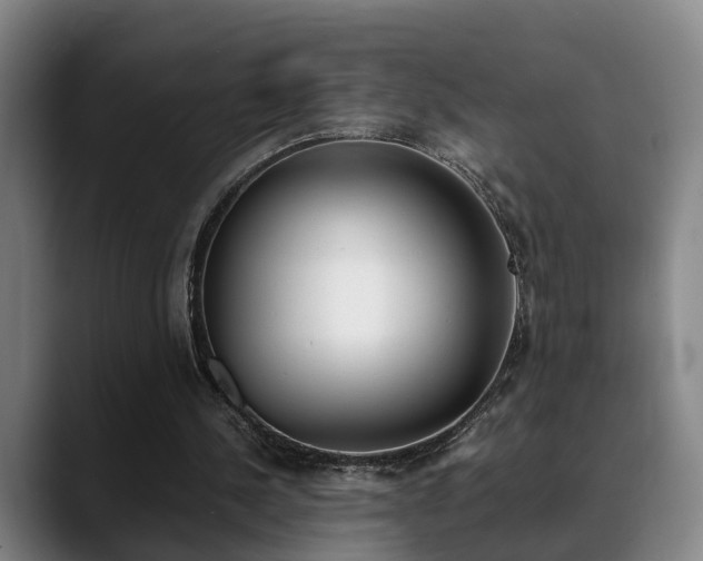X0000089370244200706150849