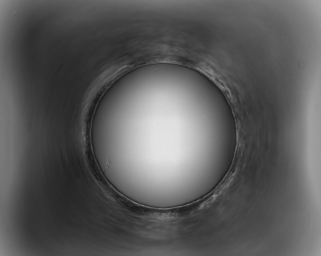 X0000089370245200706150849