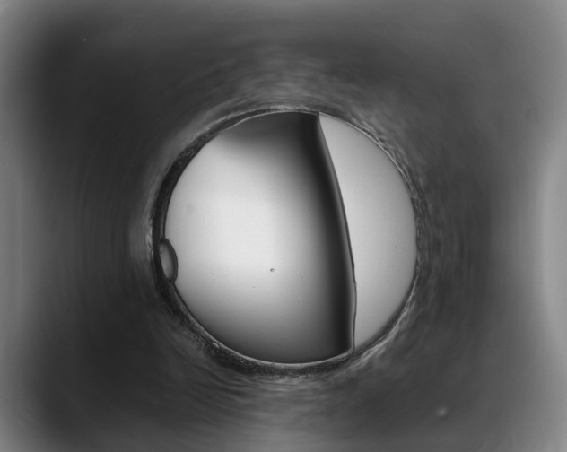 X0000089370246200706150849