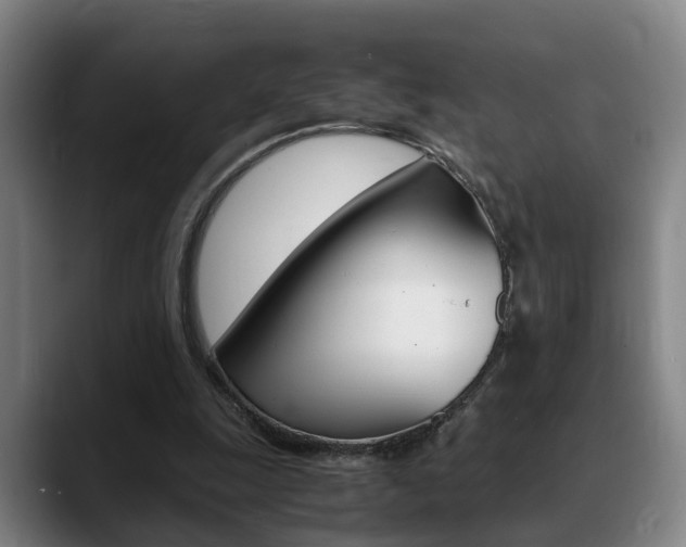 X0000089370247200706150849