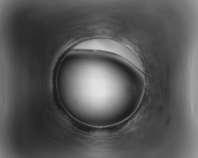 X0000089370248200706150849