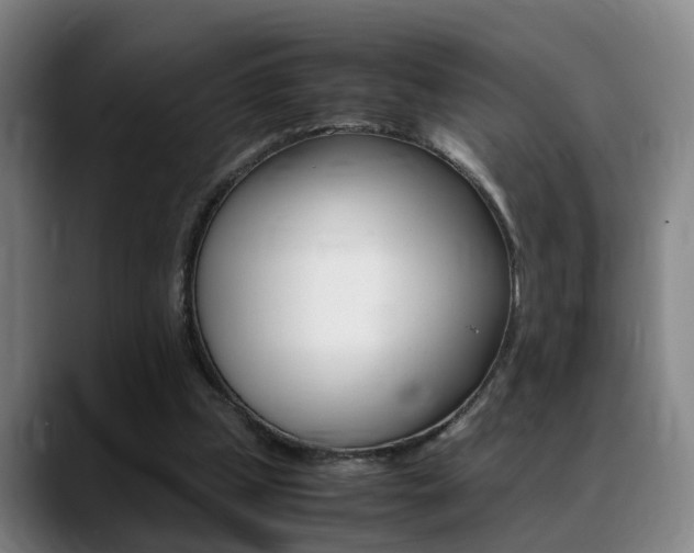 X0000089370249200706150849