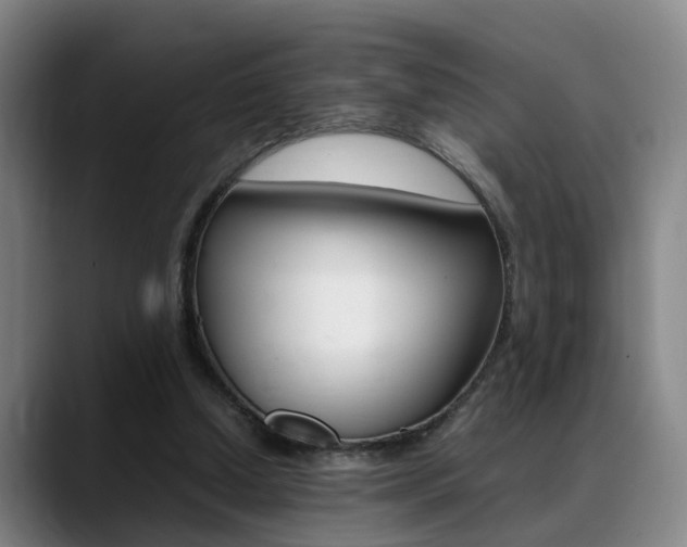 X0000089370250200706150849