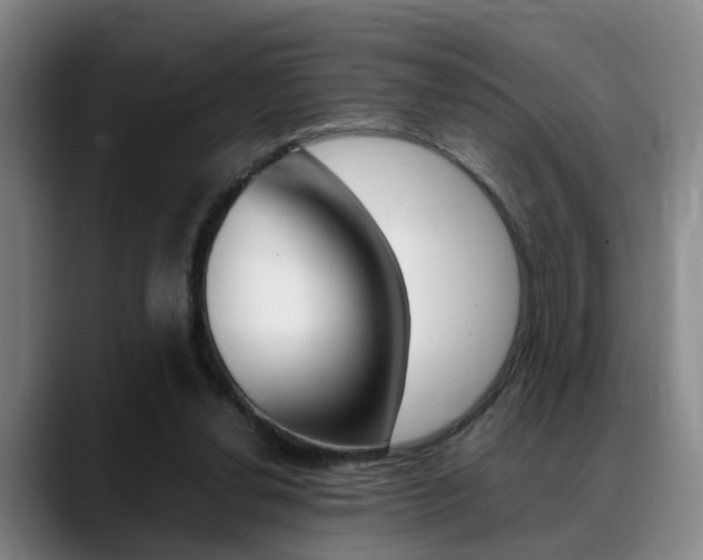 X0000089370252200706150849