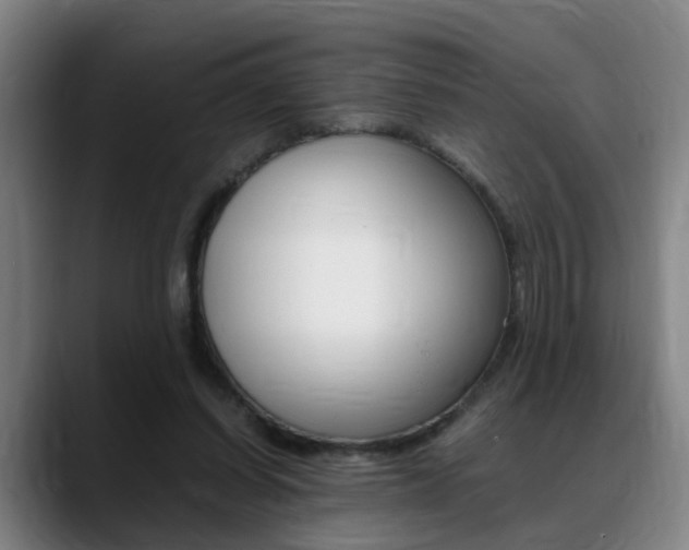 X0000089370254200706150849