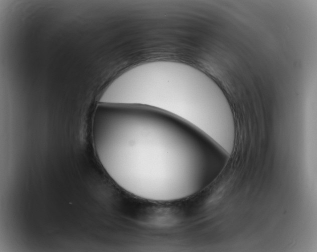 X0000089370255200706150849
