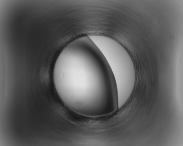 X0000089370256200706150849