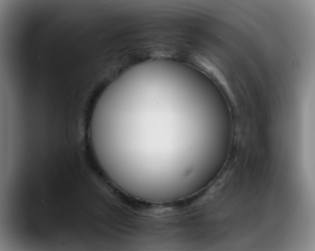 X0000089370257200706150849