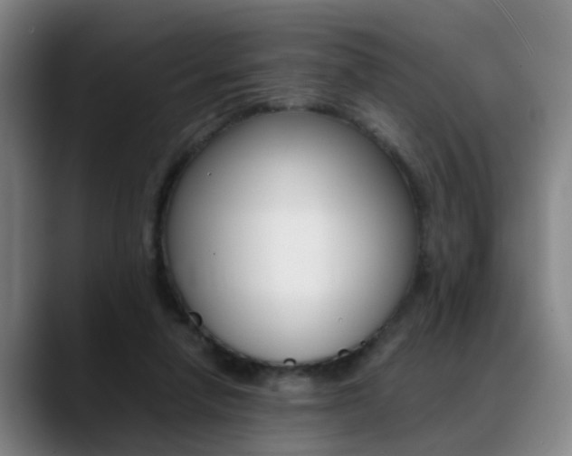 X0000089370258200706150849