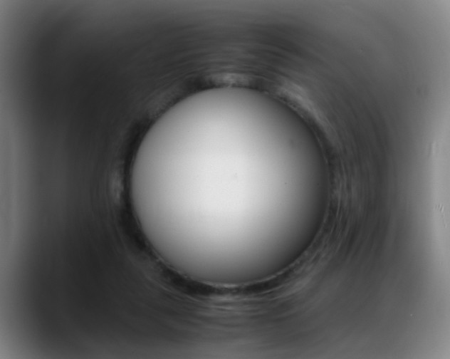 X0000089370259200706150849