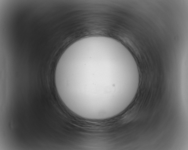 X0000089370260200706150849