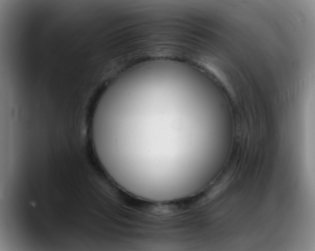 X0000089370261200706150849